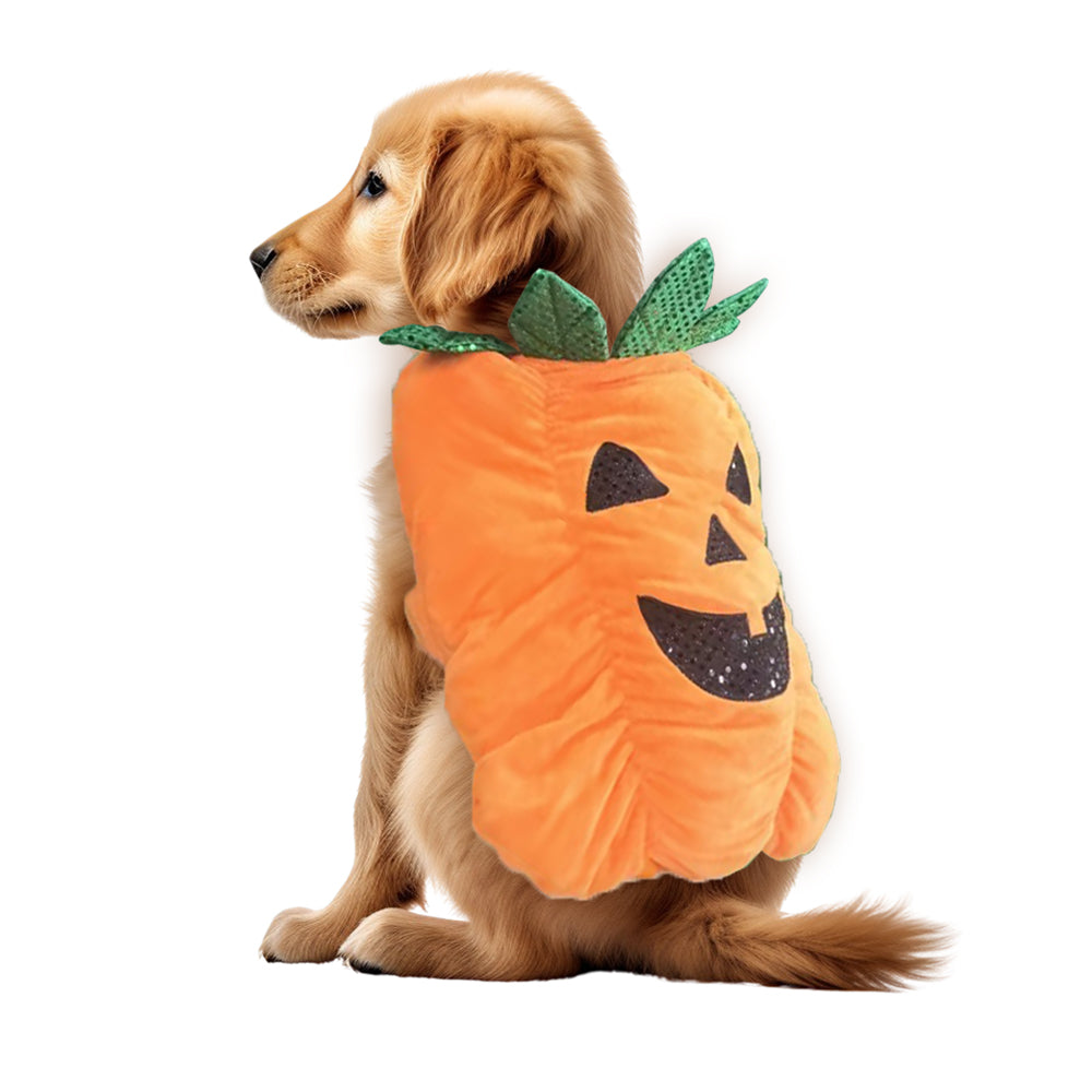 Hunddräkt - Pumpa